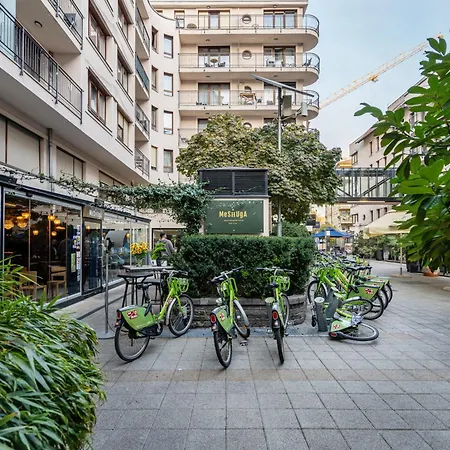 Dreamy Destiny 布达佩斯