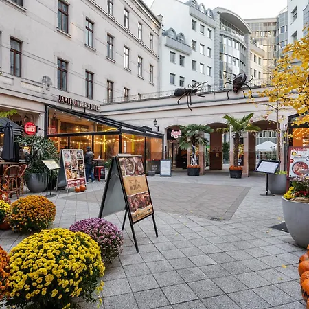 Dreamy Destiny 公寓 布达佩斯